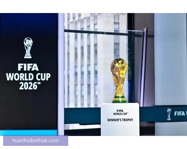 美加墨世界杯买球热潮席卷，如何把握投资机会与风险